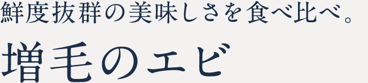 鮮度抜群の美味しさを食べ比べ。増毛のエビ