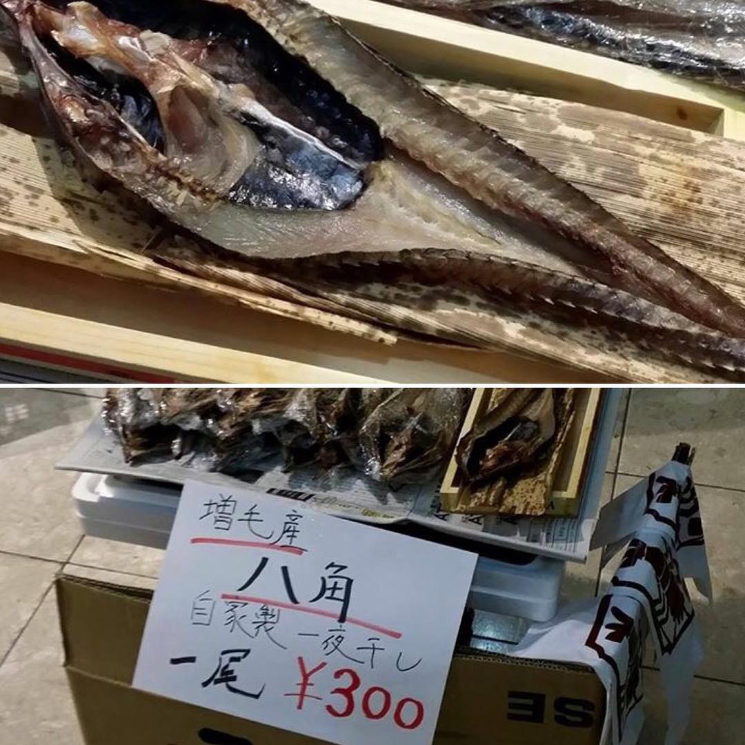 今日の店頭お持ち帰り販売は
増毛産「八角の自家製一夜干し」！ 特価一尾300円

#二三一 #海鮮 #酒蔵