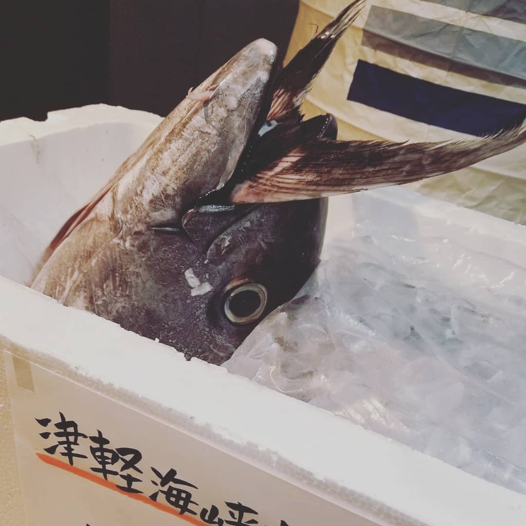 まぐろ🐟まぐろ🐟まぐろ
.
津軽海峡産　生本マグロ
.
丸々一本仕入れました🙋💓.
.
ランチは、
ボリューム満点の鉄火丼で🍴💓.
.
ディナーは、
刺身はもちろん！
限定２つでカマ焼きもご用意してます🙆.
.
早い者勝ちですよ🏃🏃.
.
皆様のご来店お待ちしています💋💋.
.
#生本マグロ　#津軽海峡　#鉄火丼
#カマ焼き　#刺身　
#海鮮　#酒蔵　#二三一