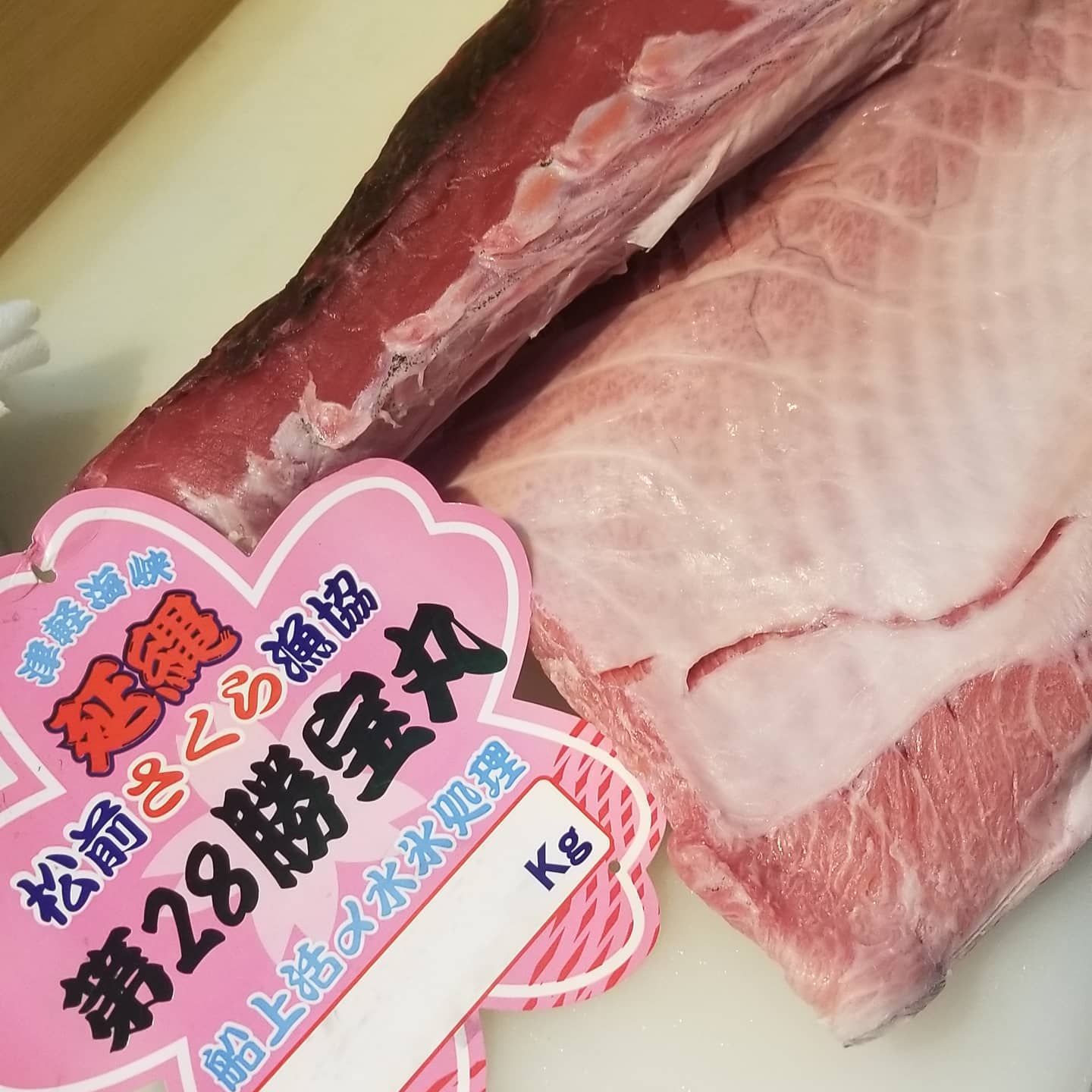 ○生本マグロ○.脂のってて、とっても美味しいです🤤..早い者勝ちですよー！！..#海鮮酒蔵二三一　#二三一